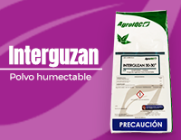 INTERGUZAN 30-30