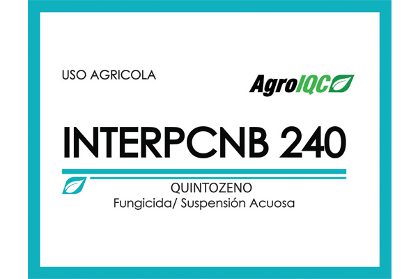 INTERPCNB 240