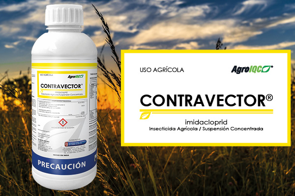 Contravector