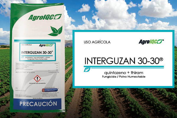 Interguzan 30 30